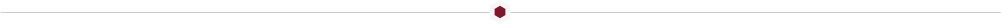 Red dot line divider